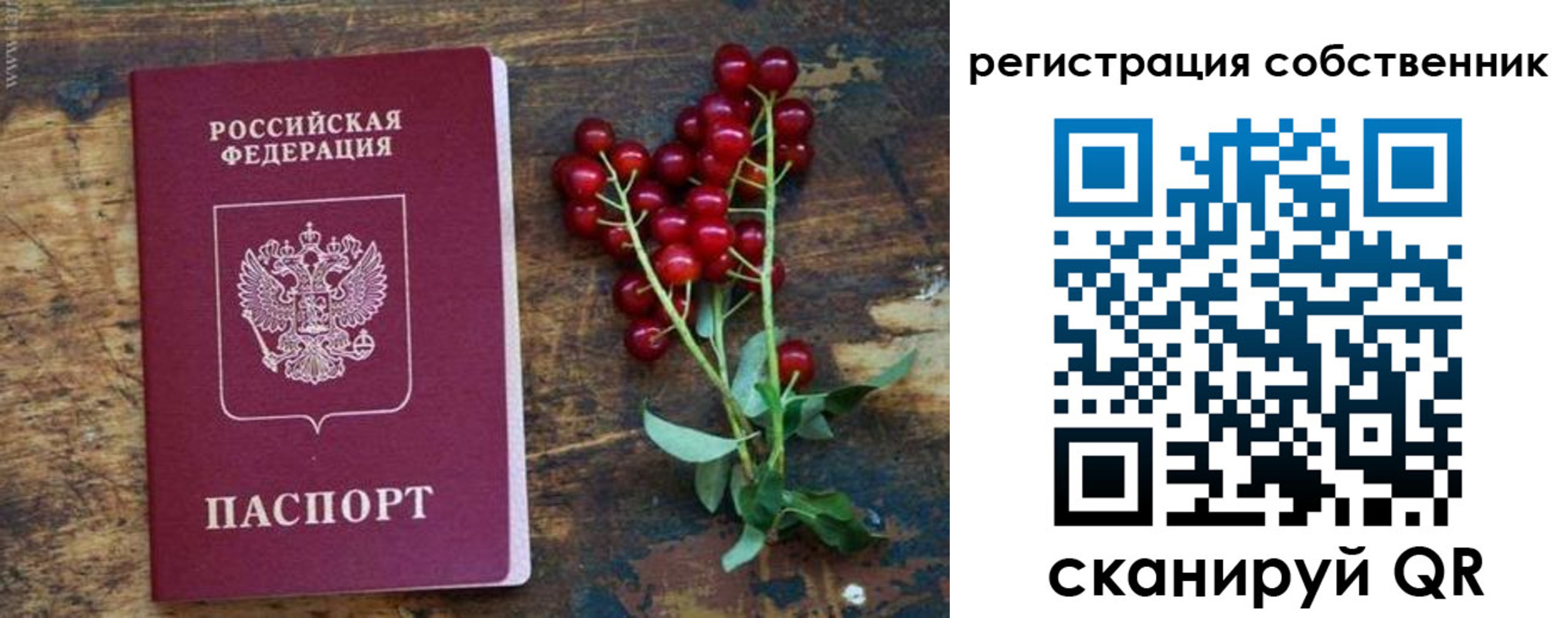 регистрация для дет. сада в Лисках